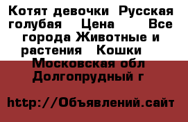 Котят девочки “Русская голубая“ › Цена ­ 0 - Все города Животные и растения » Кошки   . Московская обл.,Долгопрудный г.